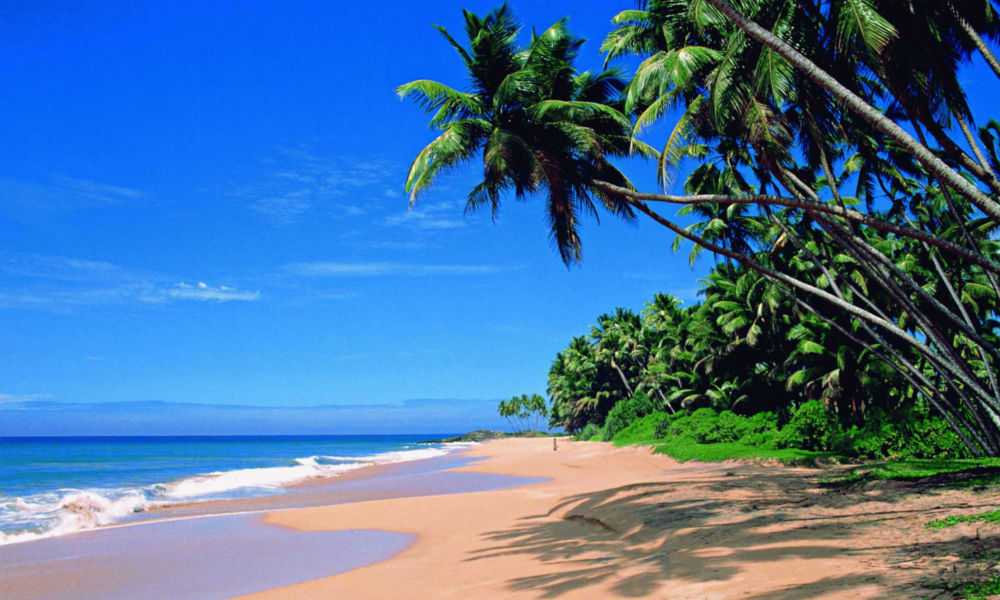 Packages For Maharashtra Goa Konkan Tour